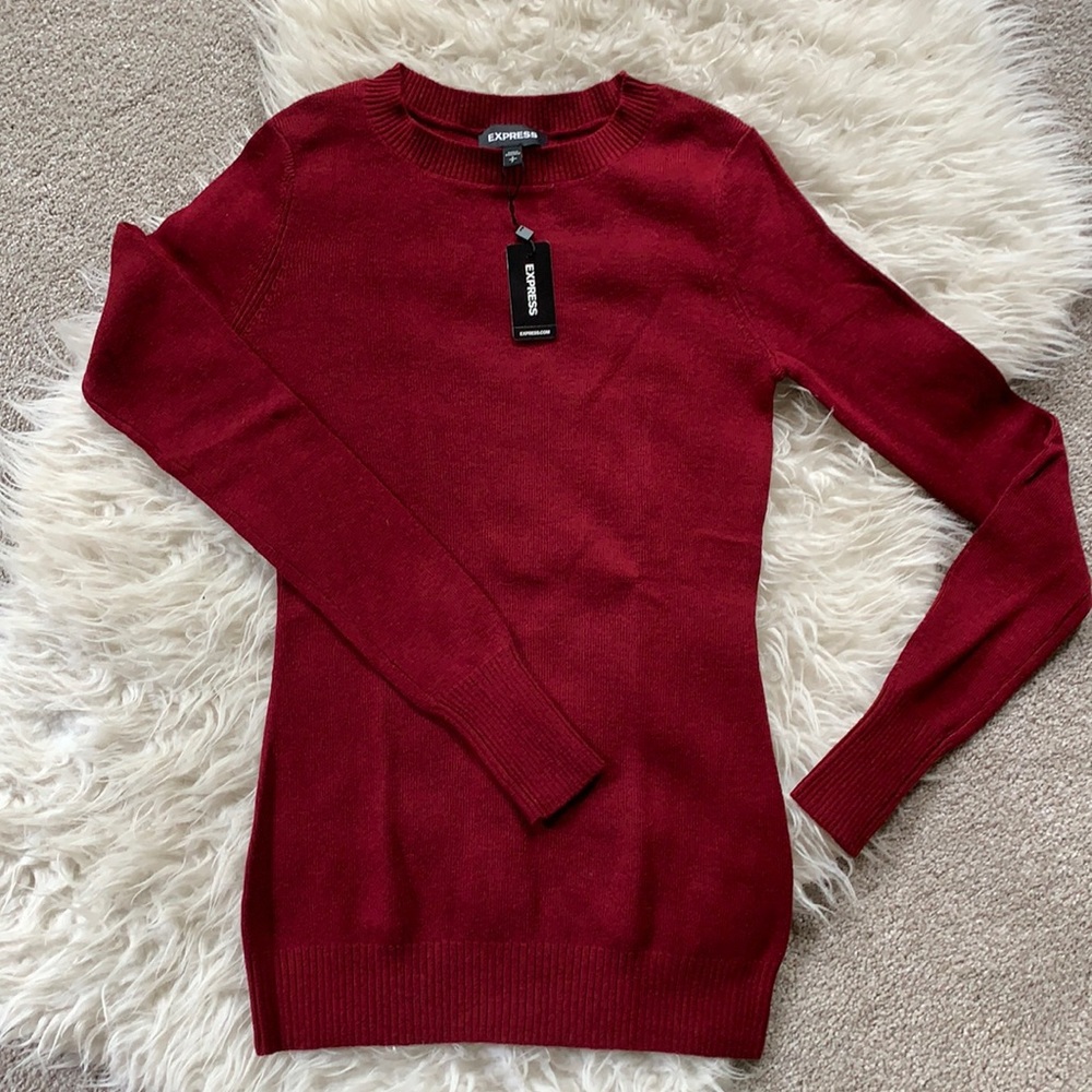 Express burgundy sweater
